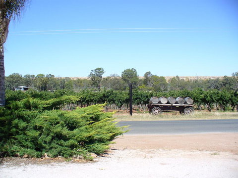Salter Station. Blanchetown. South Australia - Tourism Canberra 3