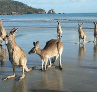 Seaforth Holiday Units - Tourism Canberra