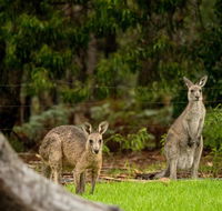 Secura Lifestyle Countryside Kalaru - Tourism Canberra