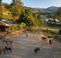 Spring Spur - Tourism Canberra