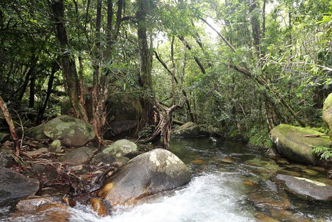Stonewood Views - Tourism Canberra 1