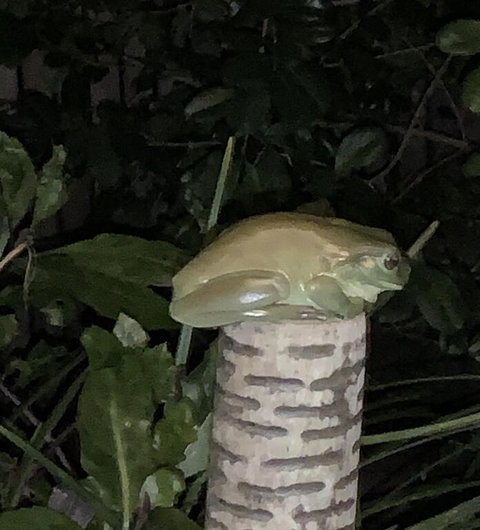 Studio With Stunning Mountain Views - Tourism Canberra 3