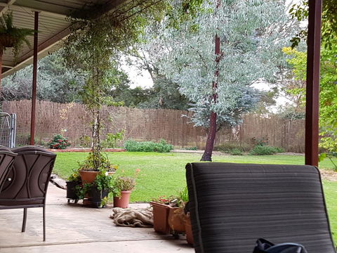 Sue's Sanctuary - Tourism Canberra 0