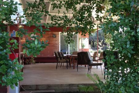 Sue's Sanctuary - Tourism Canberra 1