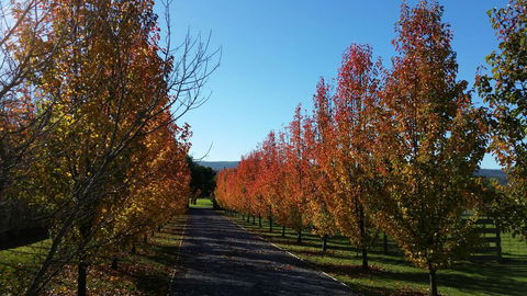Tamar Valley Farm Stay - Tourism Canberra 3