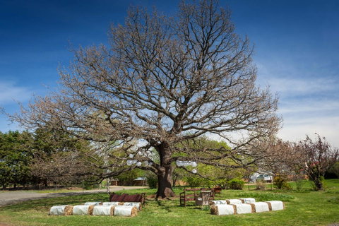 Ratho Farm - Tourism Canberra 8