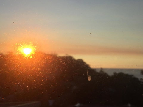 Bicheno Bell - Tourism Canberra 8