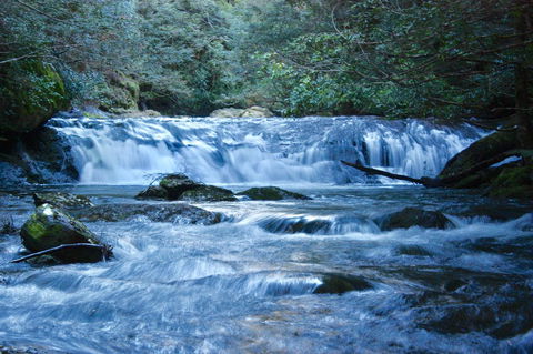 Lemonthyme Wilderness Retreat - Tourism Canberra 10