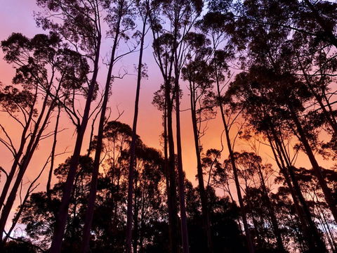 Lemonthyme Wilderness Retreat - Tourism Canberra 8