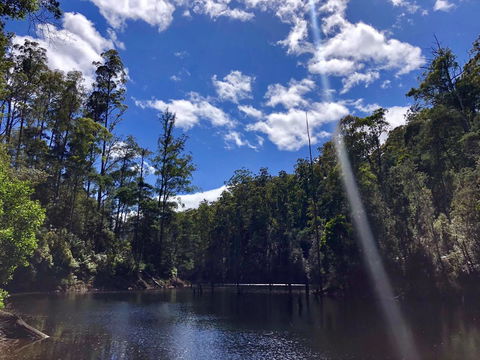Lemonthyme Wilderness Retreat - Tourism Canberra 7