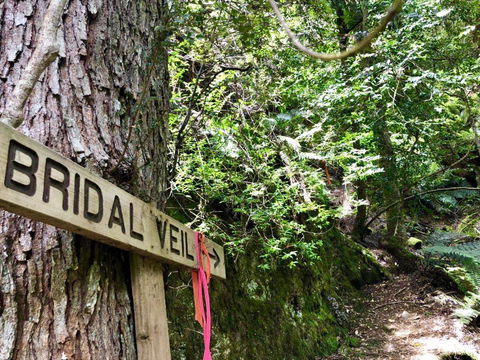 Lemonthyme Wilderness Retreat - Tourism Canberra 18