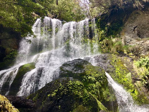 Lemonthyme Wilderness Retreat - Tourism Canberra 14