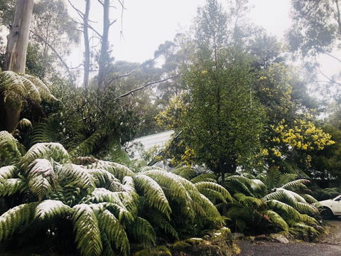 Lemonthyme Wilderness Retreat - Tourism Canberra 16