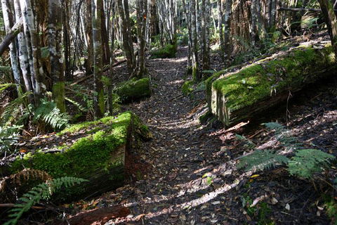 Lemonthyme Wilderness Retreat - Tourism Canberra 22