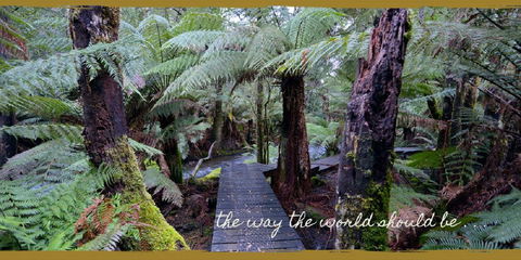 Lemonthyme Wilderness Retreat - Tourism Canberra 17