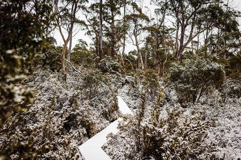 Cradle Mountain Hotel - Tourism Canberra 6