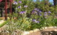 Bendalls Bed And Breakfast - thumb 10