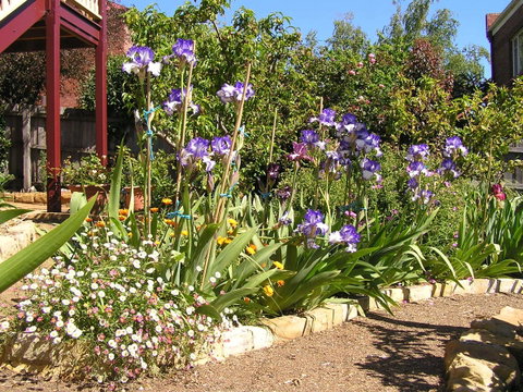 Bendalls Bed And Breakfast - Tourism Canberra 10