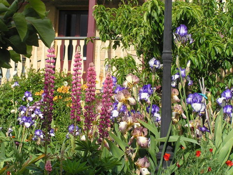 Bendalls Bed And Breakfast - Tourism Canberra 19