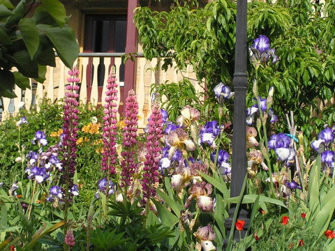 Bendalls Bed And Breakfast - Tourism Canberra 8
