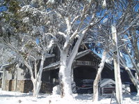 Book Dinner Plain Accommodation Vacations Tourism Canberra Tourism Canberra