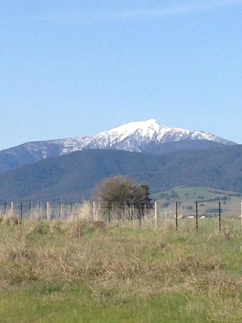 High Country Holiday Park - Tourism Canberra 34