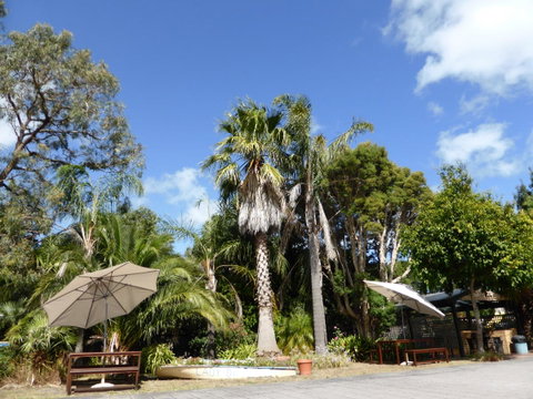 The Balnarring Motel - Tourism Canberra 8