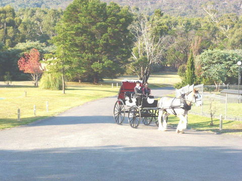 The Grampians Motel - Tourism Canberra 24