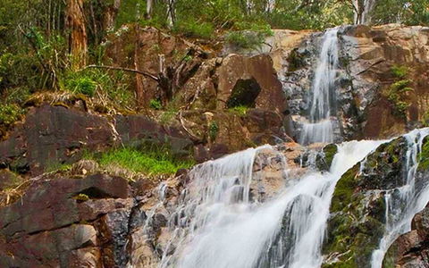 Marysville Caravan And Holiday Park - Tourism Canberra 37