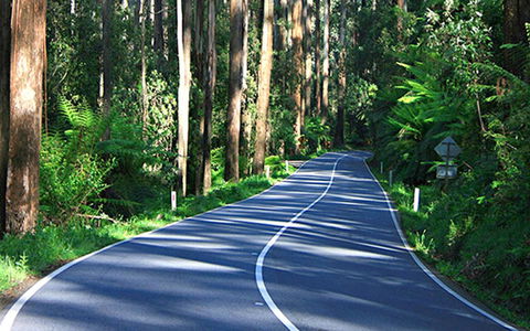 Marysville Caravan And Holiday Park - Tourism Canberra 40
