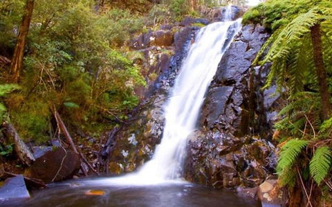 Marysville Caravan And Holiday Park - Tourism Canberra 32