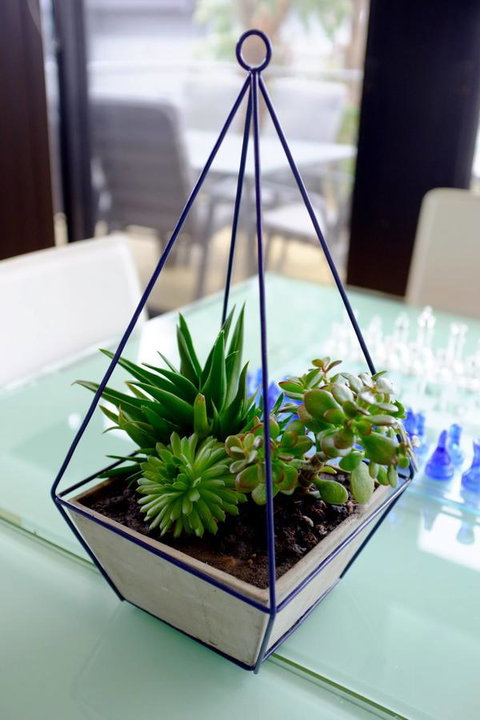 Ocean View Treetops Retreat - Tourism Canberra 15