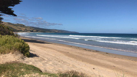 Ocean View Treetops Retreat - Tourism Canberra 16