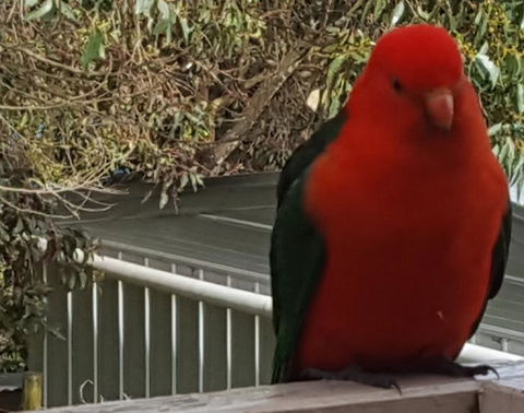 Wilsons Promontory Motel - Tourism Canberra 23