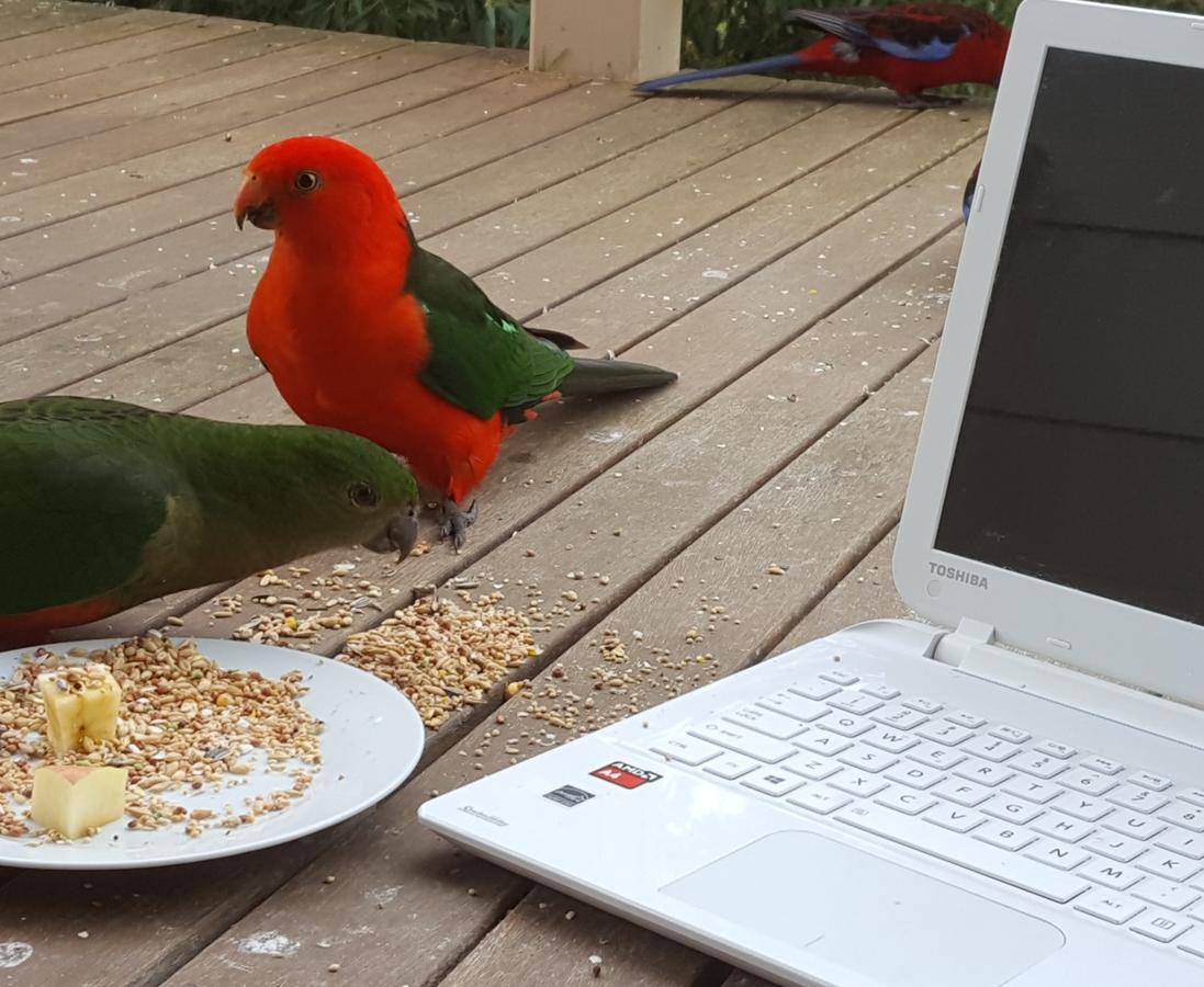  Tourism Canberra