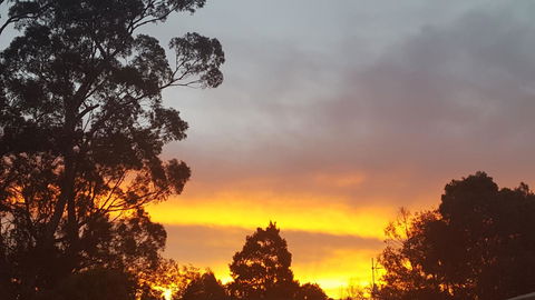 Wilsons Promontory Motel - Tourism Canberra 25