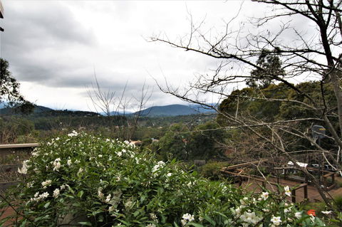 Hamptons In Healesville - Tourism Canberra 13