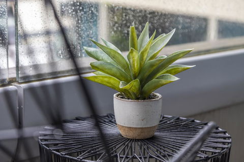 Signature Waterfront Apartments - Tourism Canberra 20