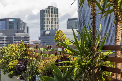 Signature Waterfront Apartments - Tourism Canberra 35