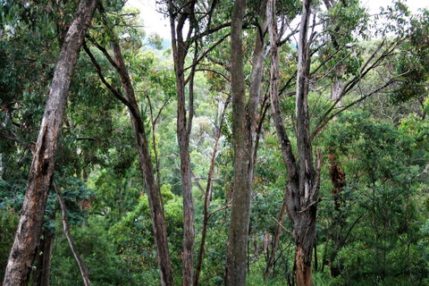 Tangenong Cottages - Tourism Canberra 9