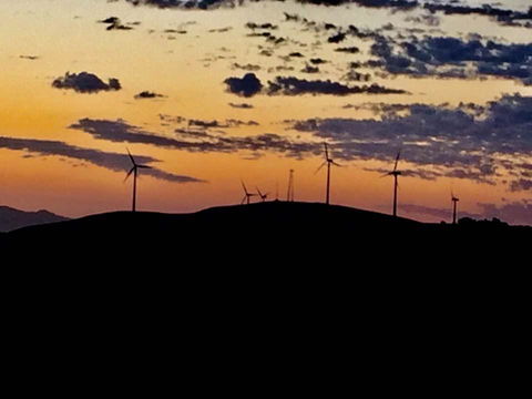 One Tree Hill Wilson Prom And Ocean Views - Tourism Canberra 4