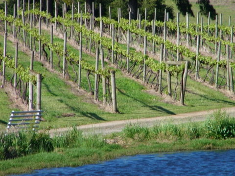 De\'Vine Escape - Tourism Canberra 13