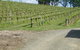De\'Vine Escape - thumb 23