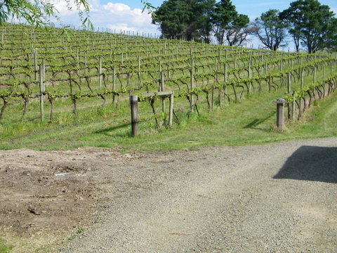 De\'Vine Escape - Tourism Canberra 23