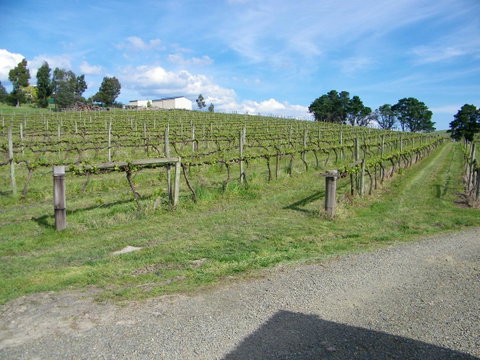 De\'Vine Escape - Tourism Canberra 30