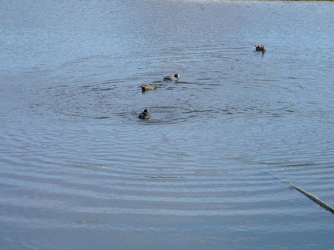 De\'Vine Escape - Tourism Canberra 21