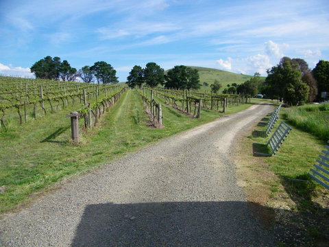 De\'Vine Escape - Tourism Canberra 24