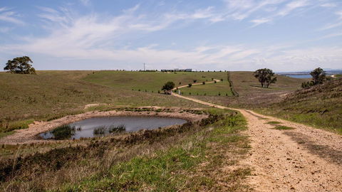 Tintagel - Tourism Canberra 31