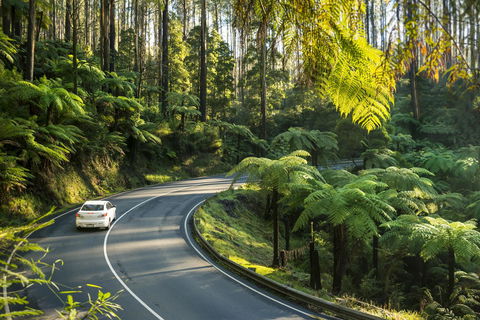 Lithgow Falls Marysville - Tourism Canberra 15
