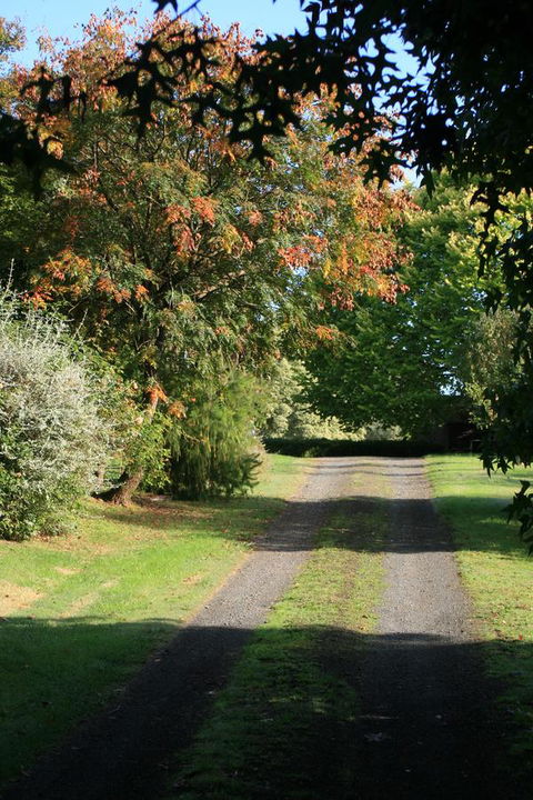 Strathmore Farm B&B - Tourism Canberra 27